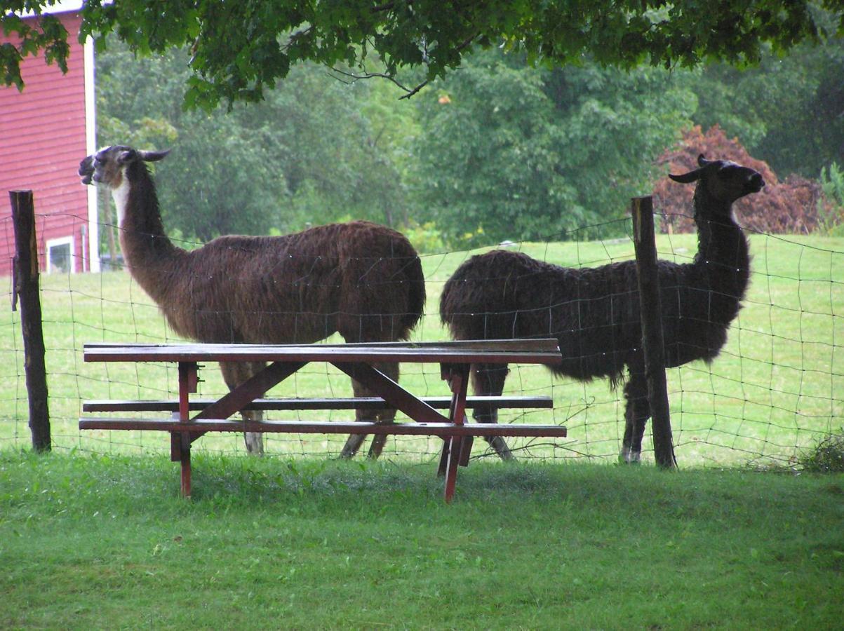 Maple Hill Farm Inn Augusta Kültér fotó